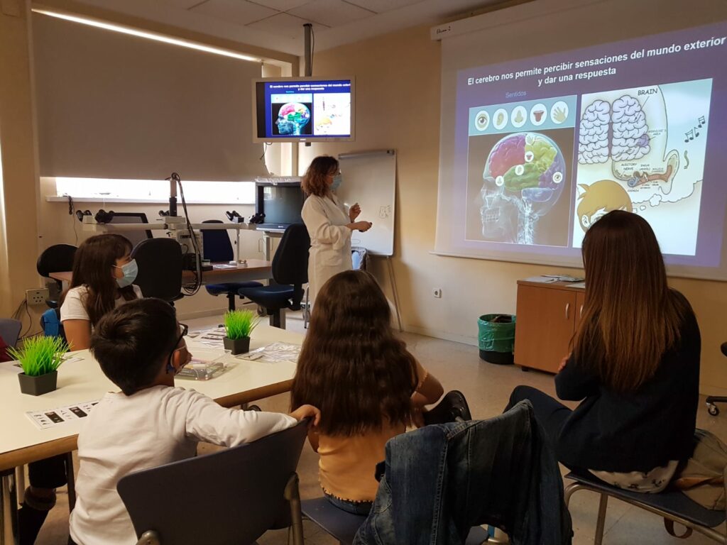 Talleres Neurociencia Cajal para Niños